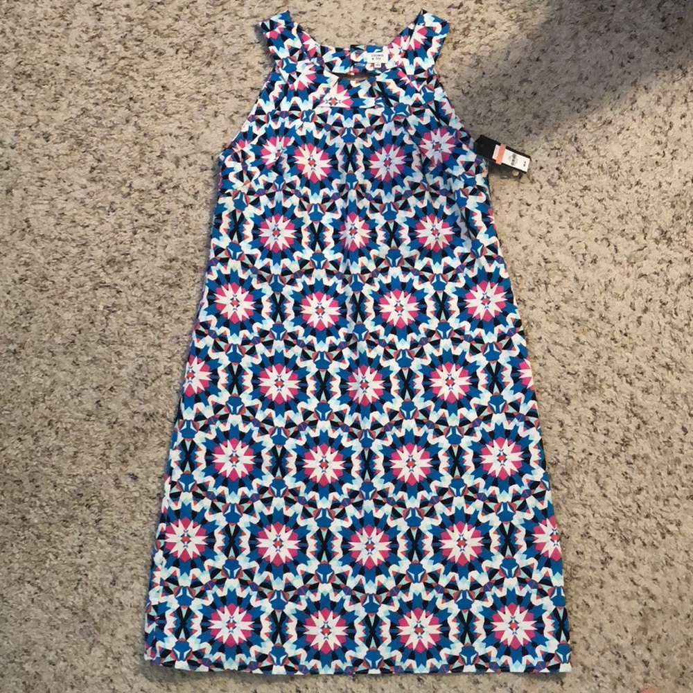 Crown and ivy dress